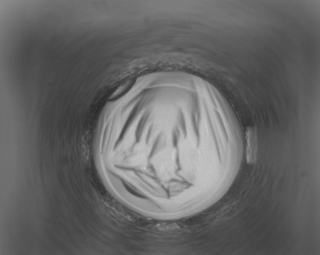 X0000082941491200702222232