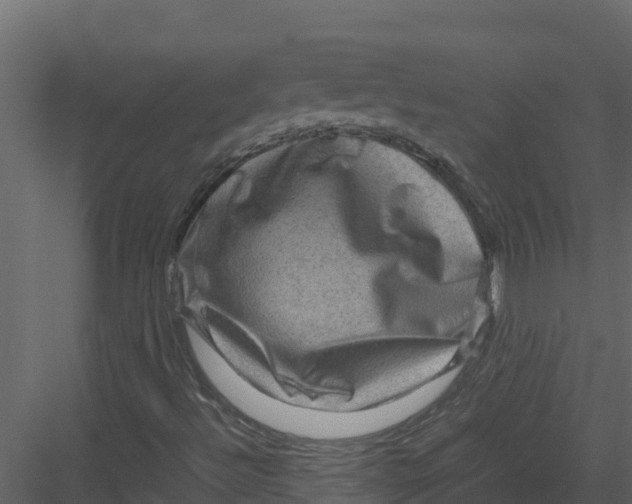 X0000082941492200702222233