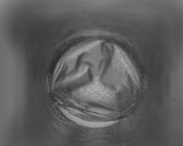 X0000082941493200702222233