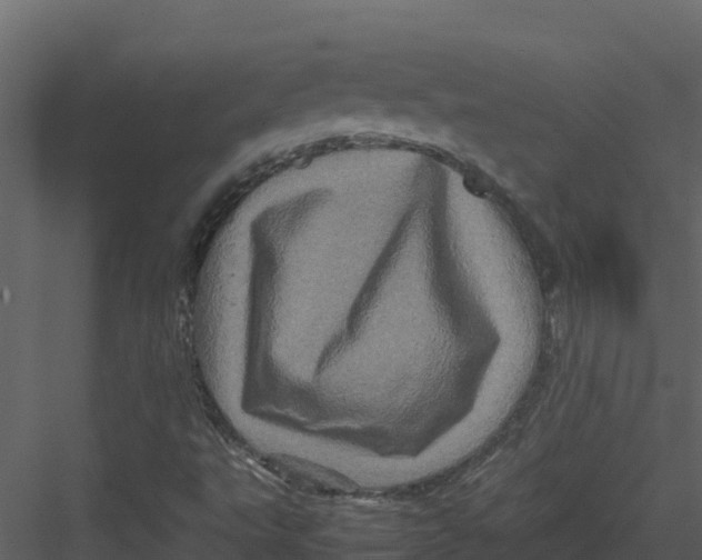 X0000082941495200702222233