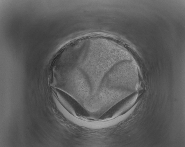 X0000082941496200702222233