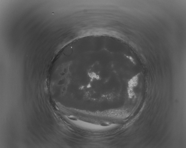 X0000082941497200702222233