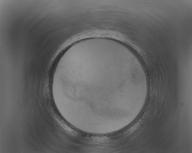 X0000082941498200702222233