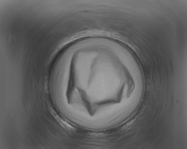 X0000082941499200702222233