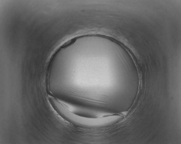 X0000082941500200702222233