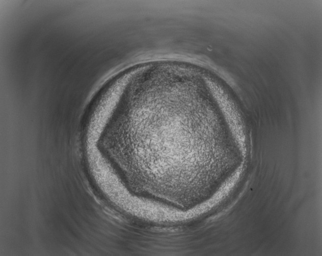 X0000082941501200702222233