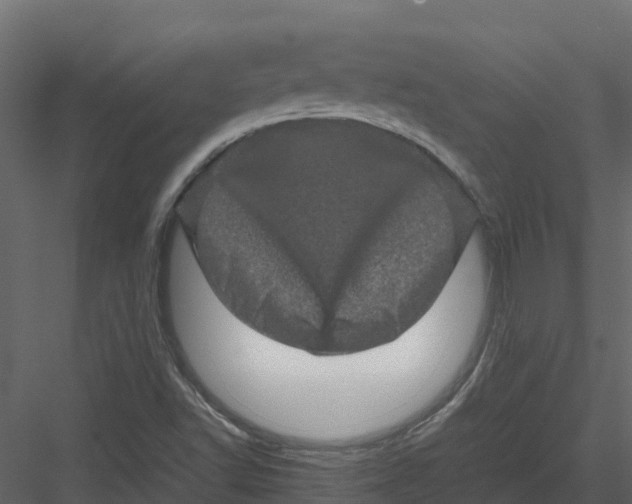 X0000082941502200702222233