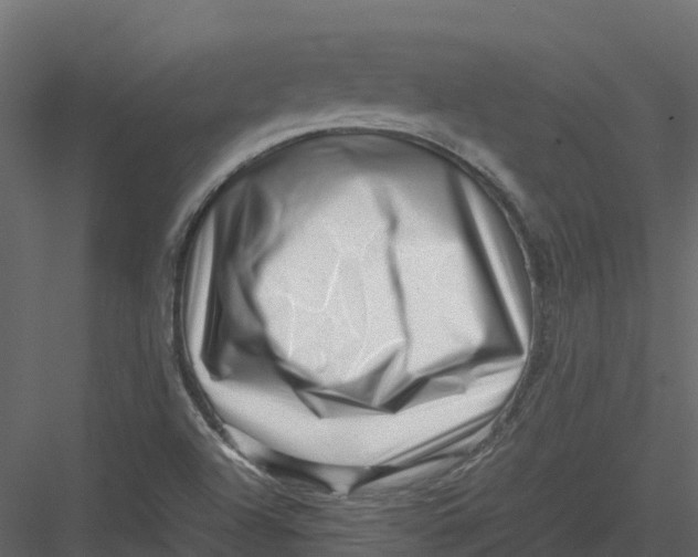 X0000082941504200702222233