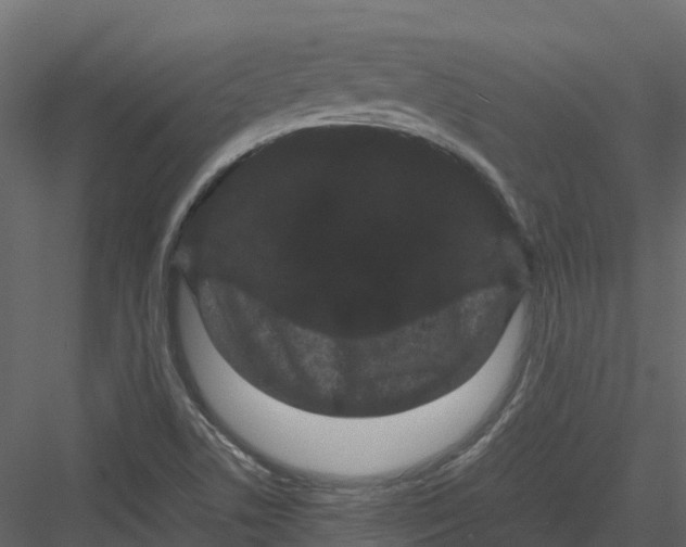 X0000082941506200702222233