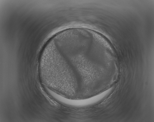 X0000082941507200702222233