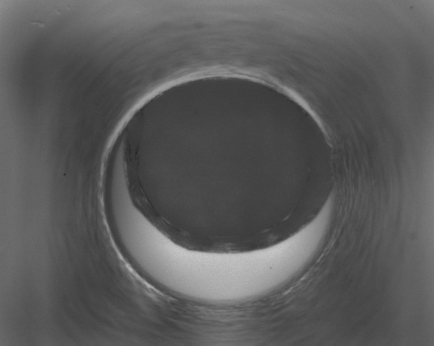 X0000082941508200702222233