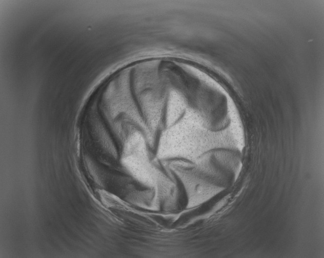 X0000082941509200702222233