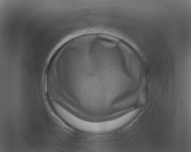 X0000082941510200702222233