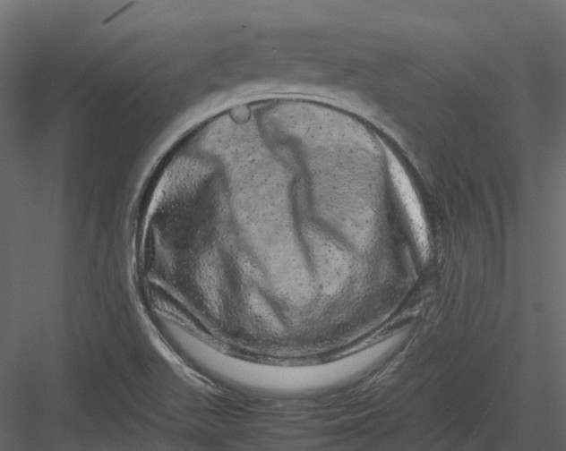 X0000082941511200702222233