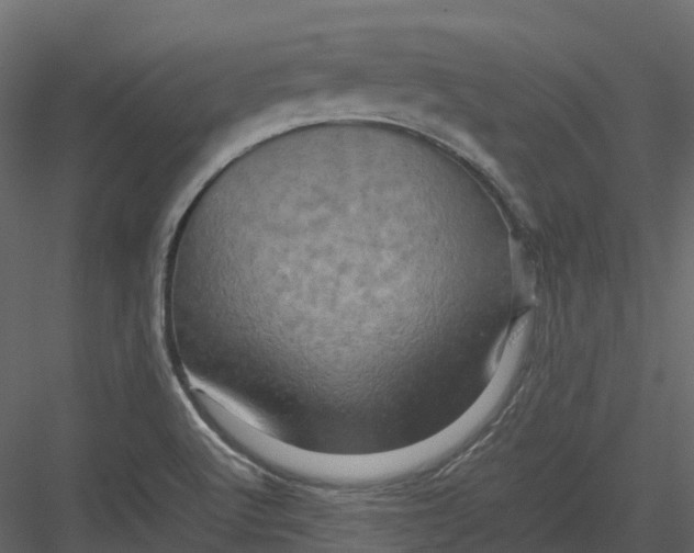 X0000082941512200702222233