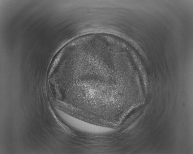 X0000082941513200702222233