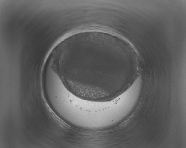 X0000082941514200702222233