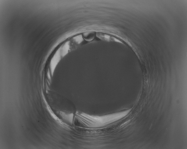 X0000082941515200702222233