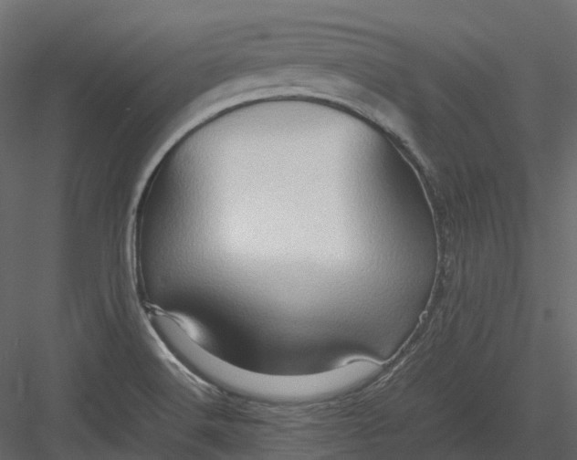 X0000082941516200702222233