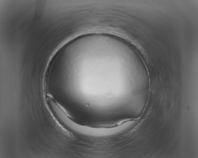 X0000082941517200702222233