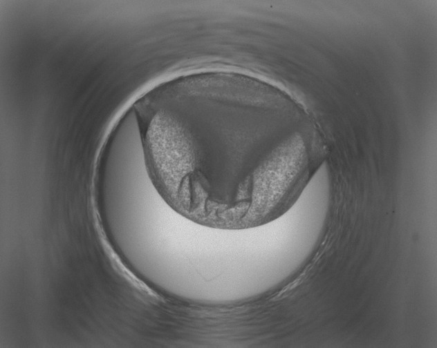 X0000082941518200702222233