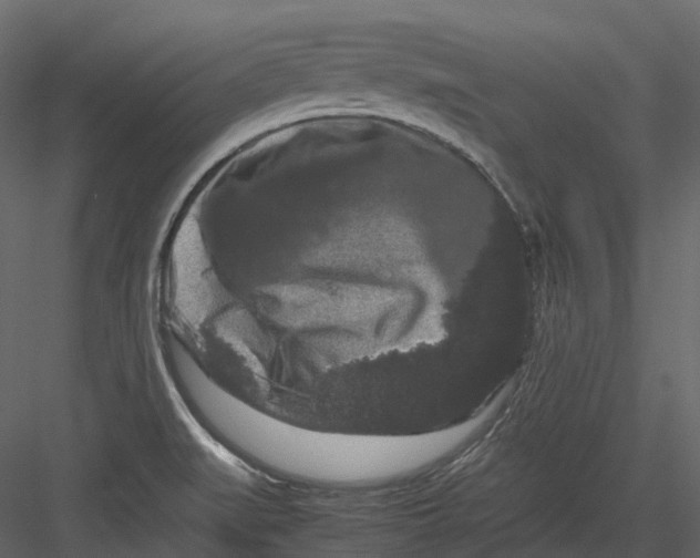 X0000082941519200702222233