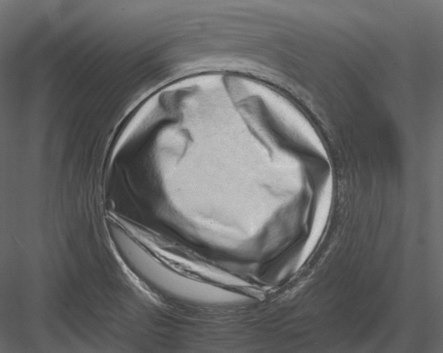 X0000082941521200702222233