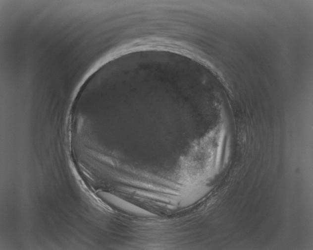 X0000082941522200702222233