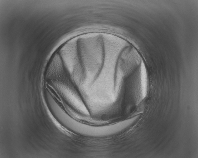 X0000082941523200702222233