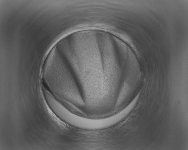 X0000082941524200702222233