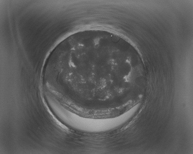 X0000082941525200702222233