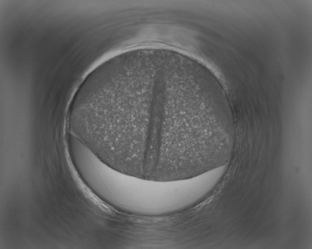 X0000082941526200702222233