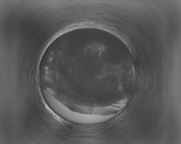 X0000082941527200702222233