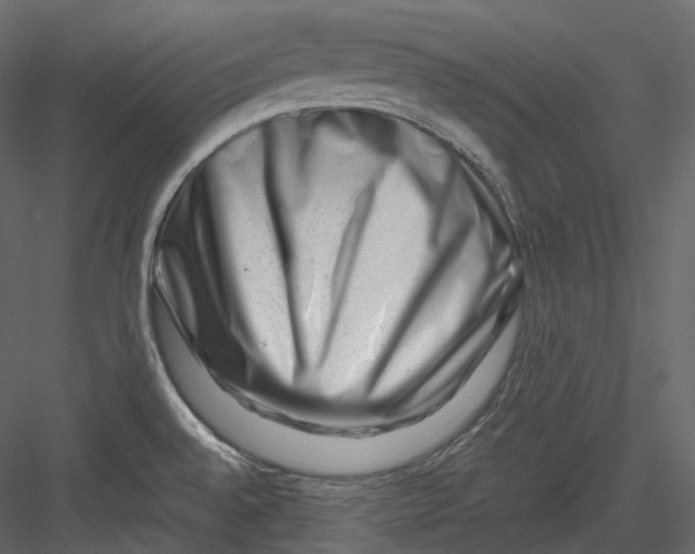 X0000082941528200702222233