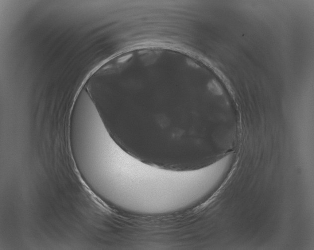 X0000082941529200702222233