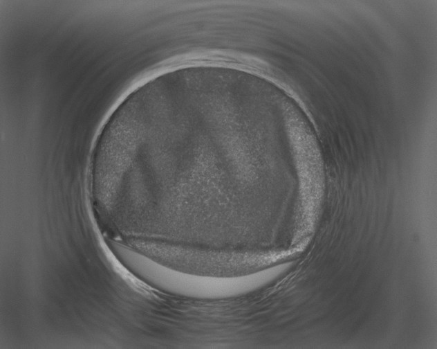 X0000082941531200702222233