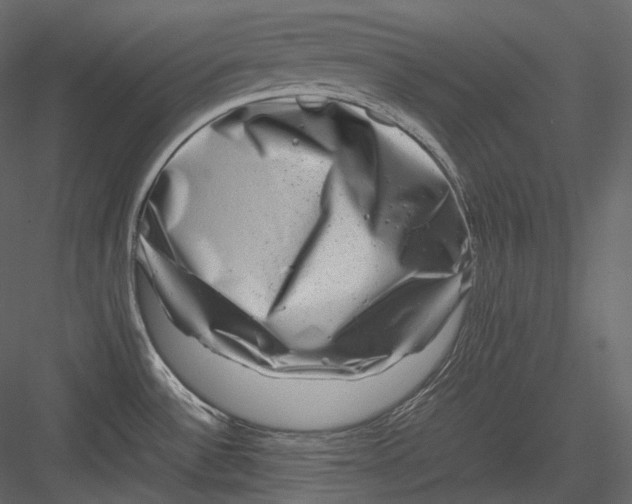 X0000082941532200702222233