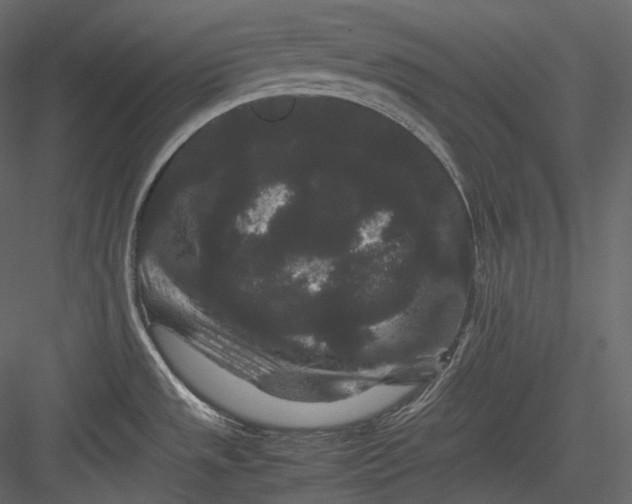 X0000082941533200702222233