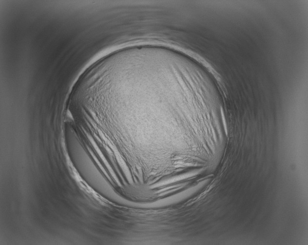 X0000082941534200702222233