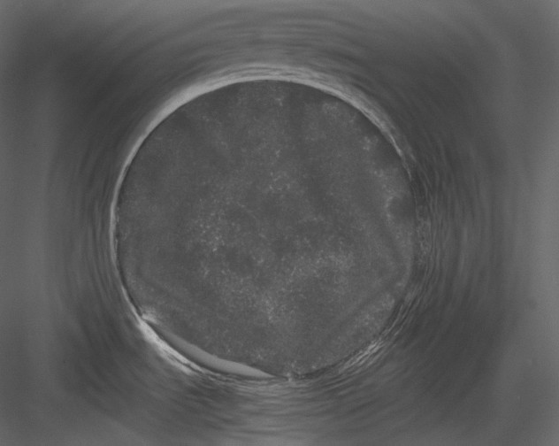 X0000082941535200702222233