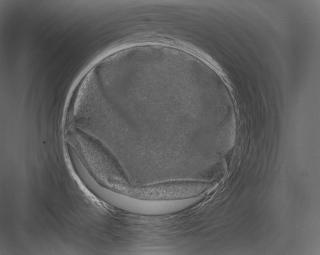 X0000082941536200702222233