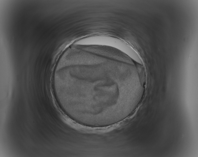 X0000082940001200703020137