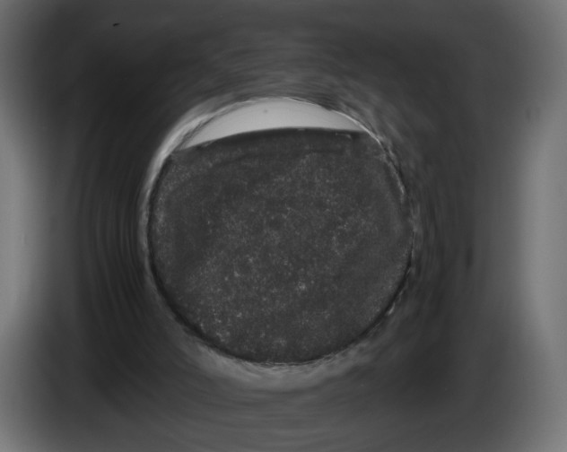 X0000082940006200703020137