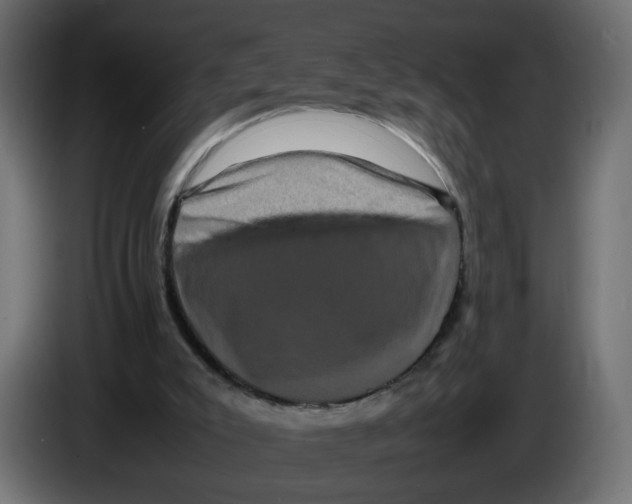 X0000082940007200703020137