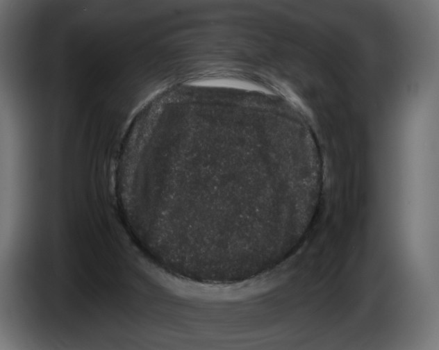 X0000082940010200703020137