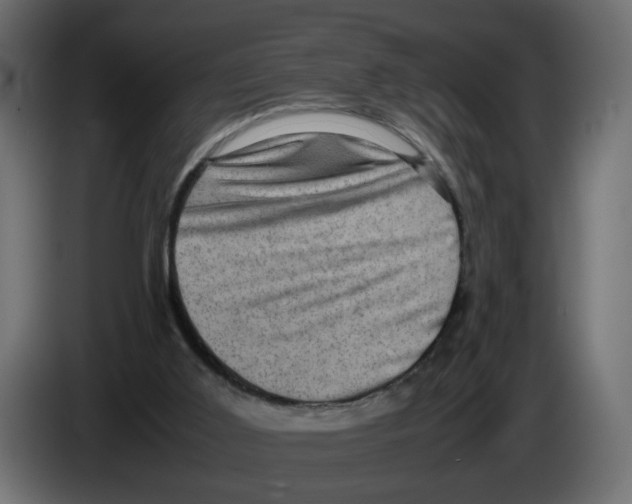 X0000082940011200703020137