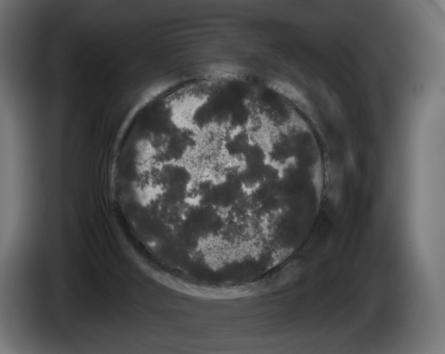 X0000082940012200703020137