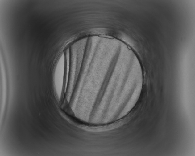 X0000082940013200703020137