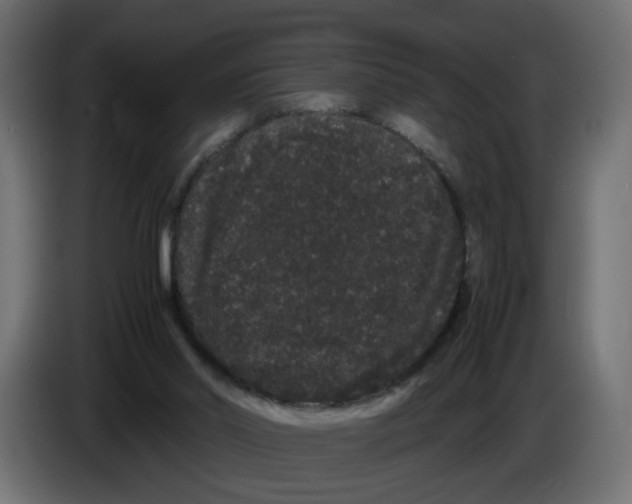 X0000082940014200703020137