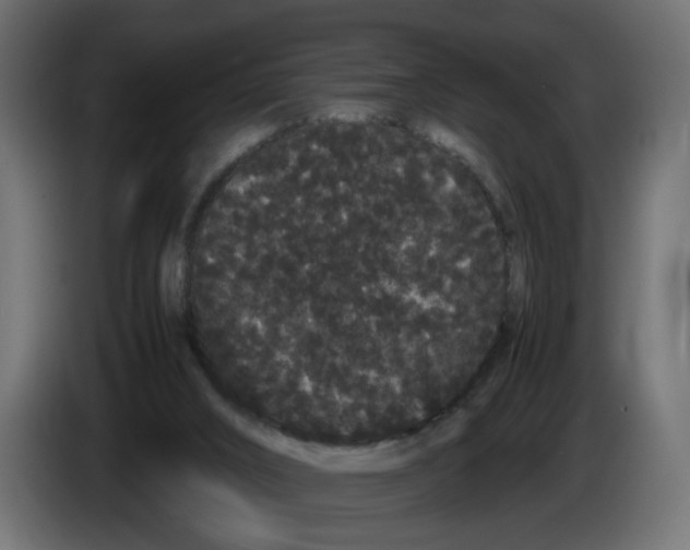 X0000082940016200703020137